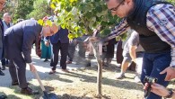 Първите 17 членове на новосъздадената Асоциация на висшите училища, преподаващи туризъм, поставиха началото на „Академична гора на туризма“ във Варна. Представители на университетите засадиха сребролистни липи в Морската градина. В...