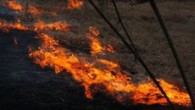 Гасят пожар в землището на община Трекляно Продължава гасенето на пожара в землището на с. Побит камък, община Трекляно, съобщиха от полицията в Кюстендил. Огънят навлезе в българска територия от Сърбия вчера. Пожарът е бил локализиран на...