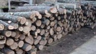 Близо 5100 заявления за целева помощ за отопление в Ямболско Близо 5100 заявления-декларации за отпускане на целева помощ за отопление са подадени до момента в Дирекция „Социално подпомагане“ – Ямбол. Броят им вече надхвърля този за целия предходен отоплителен сезон...