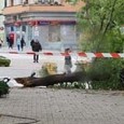 Паднал клон от дърво удари мъж в Сливен Паднал клон от дърво е ударил мъж в района на пешеходната пътека в градинката до църквата „Свети Димитър“ в Сливен около 9:30 ч. днес, съобщиха от пресцентъра на Общината. По...