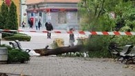 Паднал клон от дърво удари мъж в Сливен Паднал клон от дърво е ударил мъж в района на пешеходната пътека в градинката до църквата „Свети Димитър“ в Сливен около 9:30 ч. днес, съобщиха от пресцентъра на Общината. По...